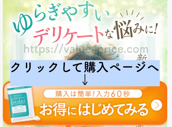 公式サイトの申し込みページへ